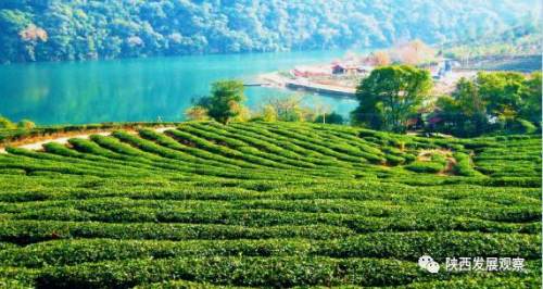 安康市发展,陕南安康发展前景如何