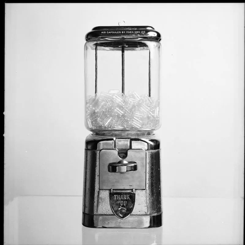 日本在世当代艺术家,日本当代艺术家太阳花