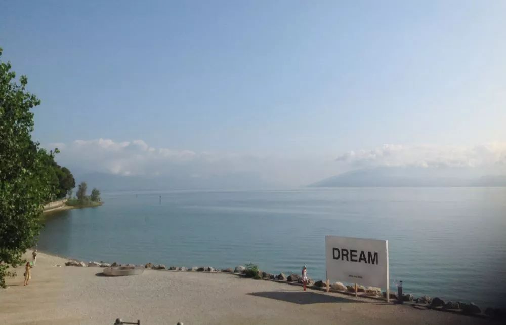 日本在世当代艺术家,日本当代艺术家太阳花