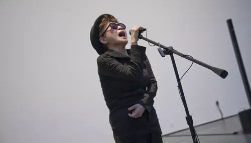 日本在世当代艺术家,日本当代艺术家太阳花