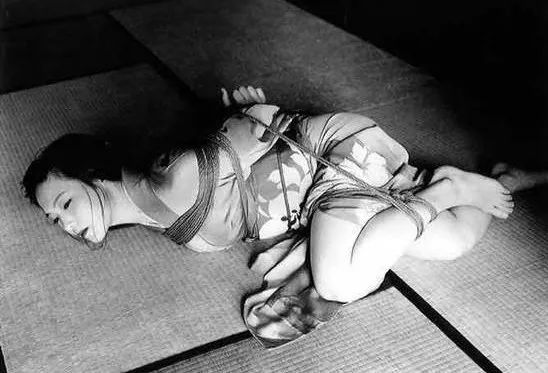 日本在世当代艺术家,日本当代艺术家太阳花