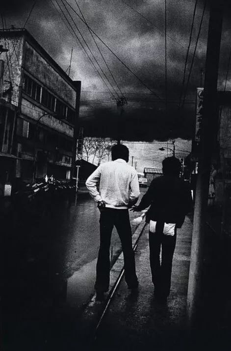 日本在世当代艺术家,日本当代艺术家太阳花