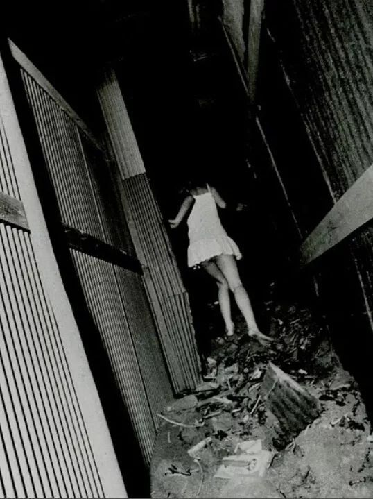 日本在世当代艺术家,日本当代艺术家太阳花