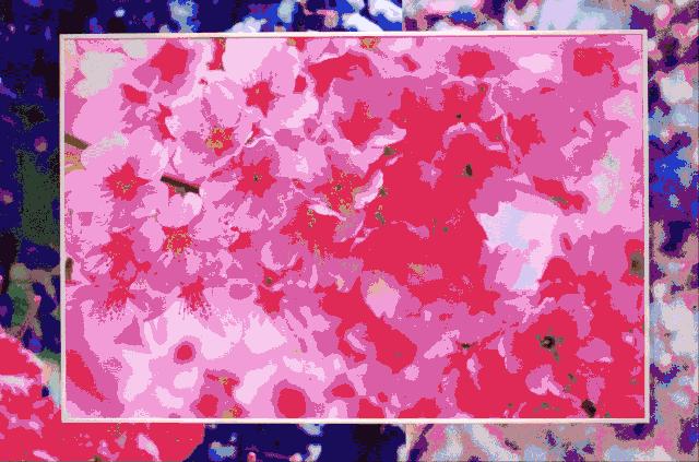 日本在世当代艺术家,日本当代艺术家太阳花