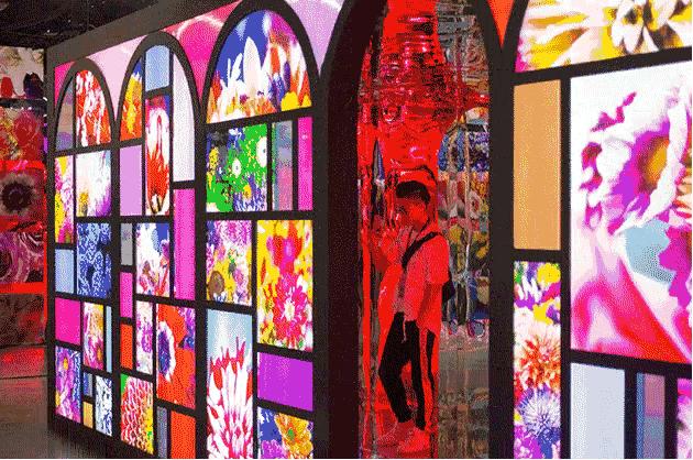 日本在世当代艺术家,日本当代艺术家太阳花