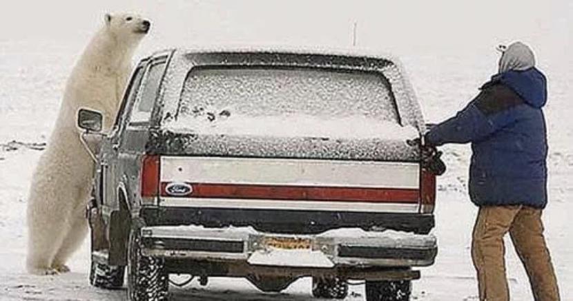 男士开mini车会被说娘吗,男人开mini