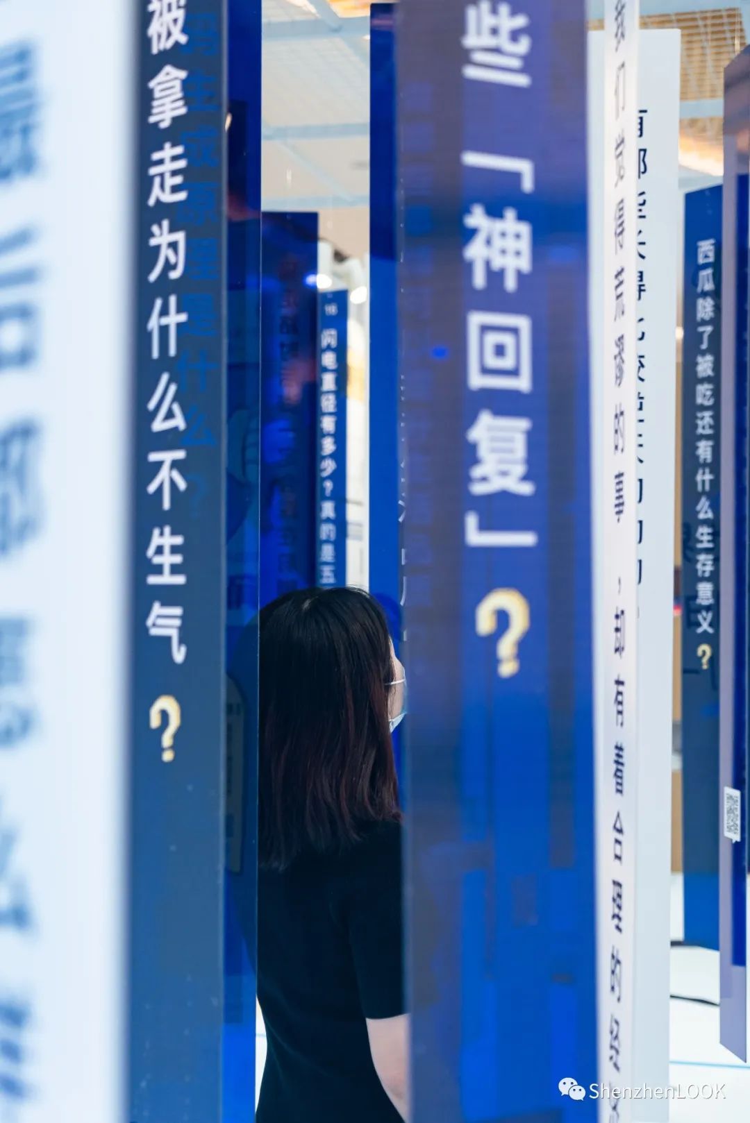 深圳地铁14号线最新消息 (深圳地铁14号线通车时间)