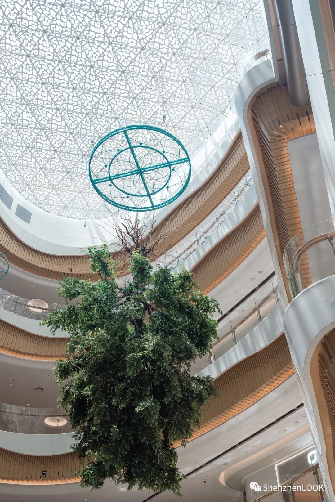 深圳地铁14号线最新消息 (深圳地铁14号线通车时间)