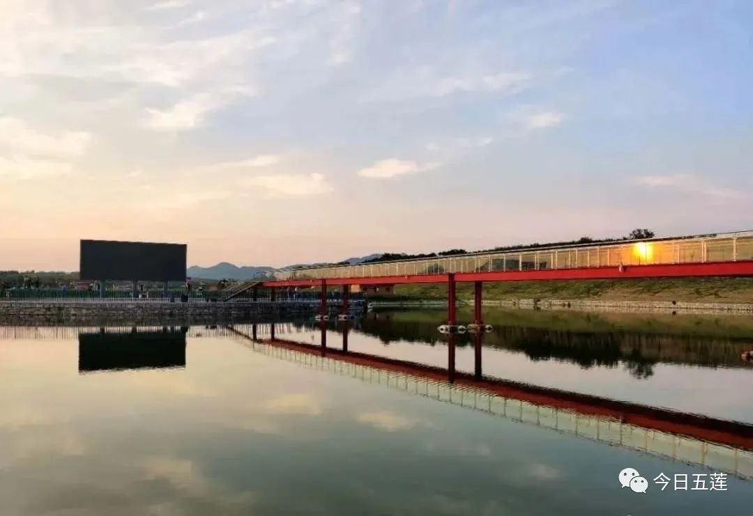 樱桃熟了五一好去处,采摘樱桃好去处五莲