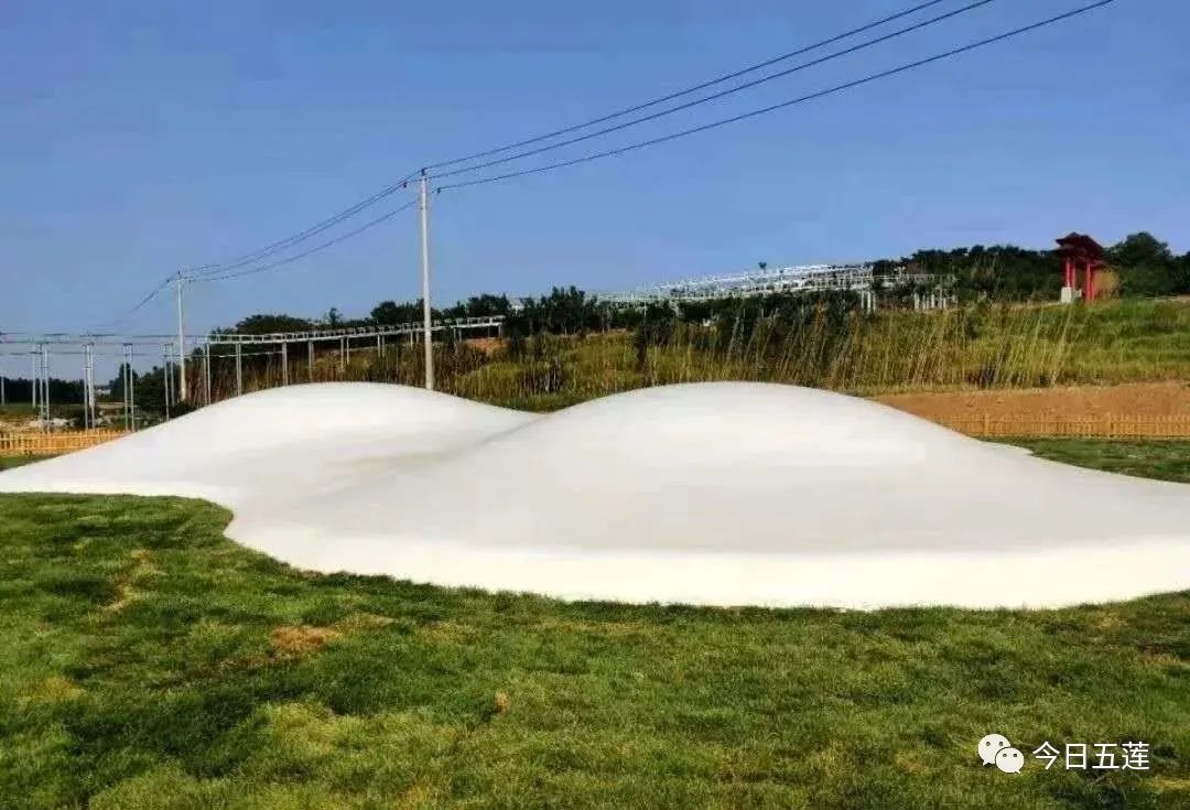 樱桃熟了五一好去处,采摘樱桃好去处五莲