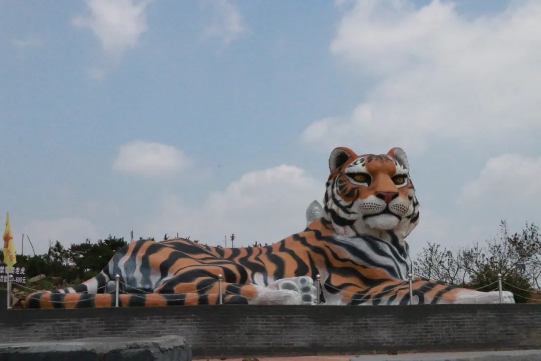 樱桃熟了五一好去处,采摘樱桃好去处五莲