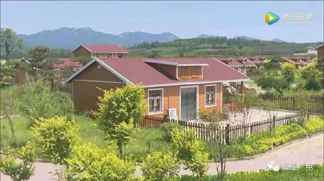 樱桃熟了五一好去处,采摘樱桃好去处五莲