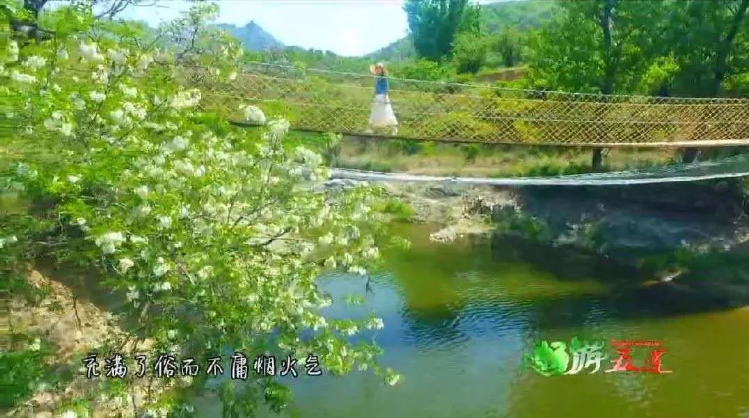 樱桃熟了五一好去处,采摘樱桃好去处五莲