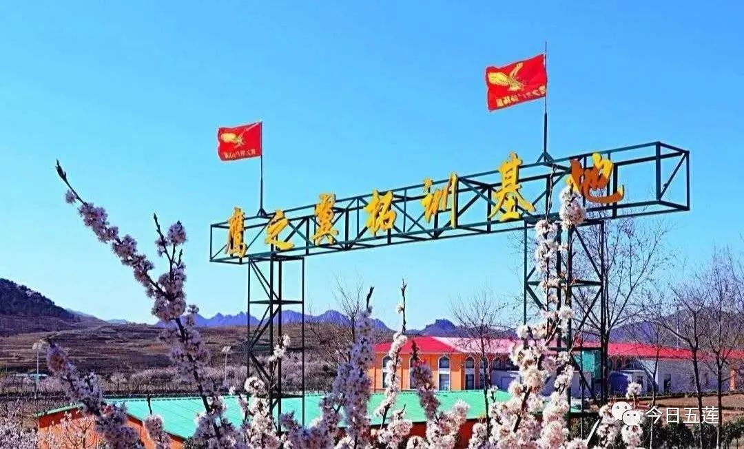 樱桃熟了五一好去处,采摘樱桃好去处五莲