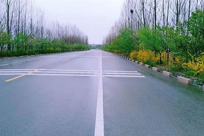 樱桃熟了五一好去处,采摘樱桃好去处五莲