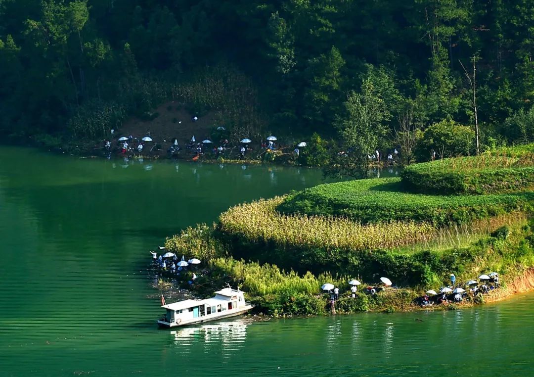 重庆避开人群攻略,重庆周边小众旅游线路