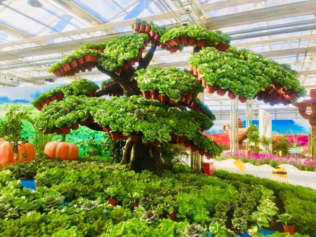 爱上赤峰，给你“12个理由”够不够？（下）