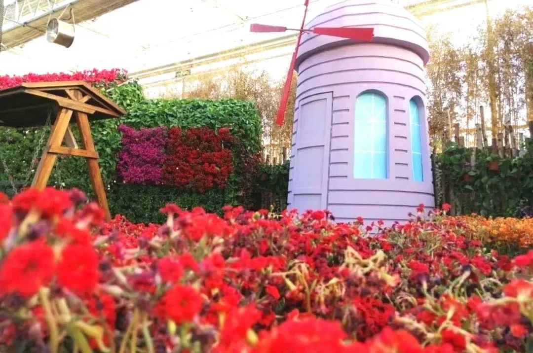 爱上赤峰，给你“12个理由”够不够？（下）