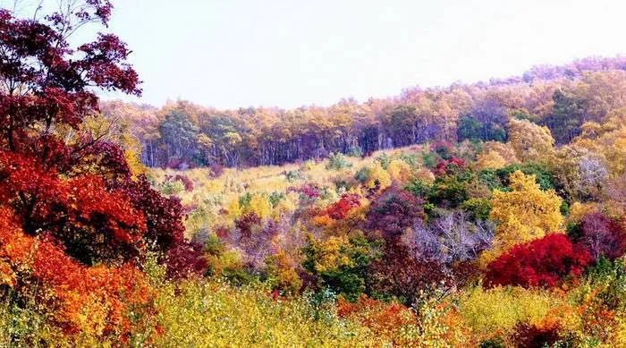 爱上赤峰，给你“12个理由”够不够？（下）