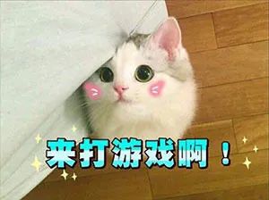 获赔3000万!苏州蜗牛赢了