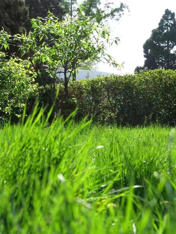 回忆我的母校三矿中学,三原南郊中学历史