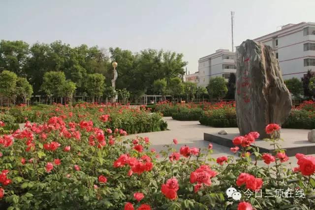 回忆我的母校三矿中学,三原南郊中学历史