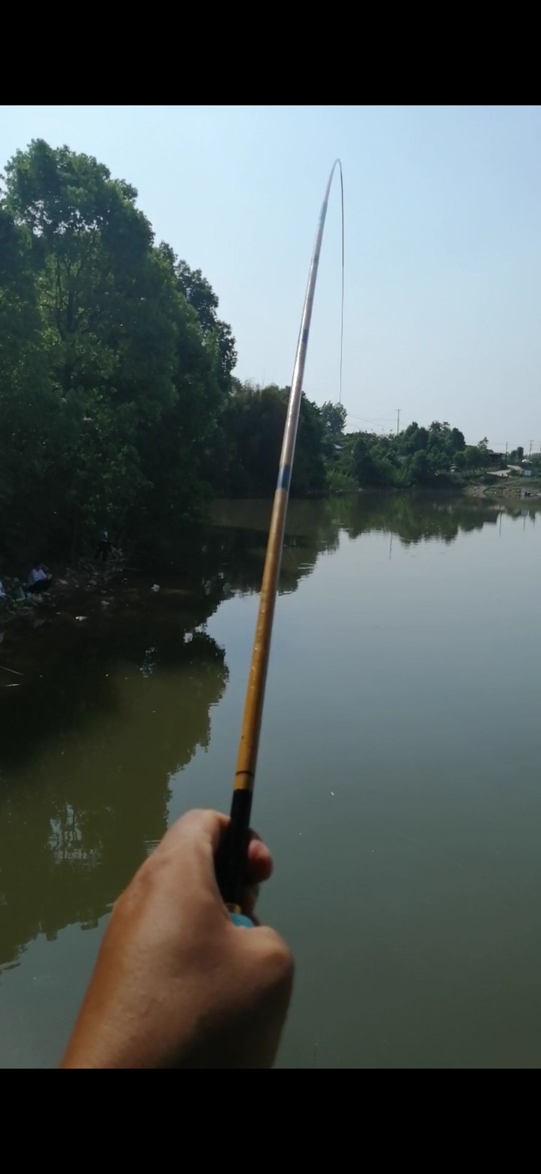 野钓小鱼闹窝怎么办用几号钩,野钓小鱼闹窝怎么解决