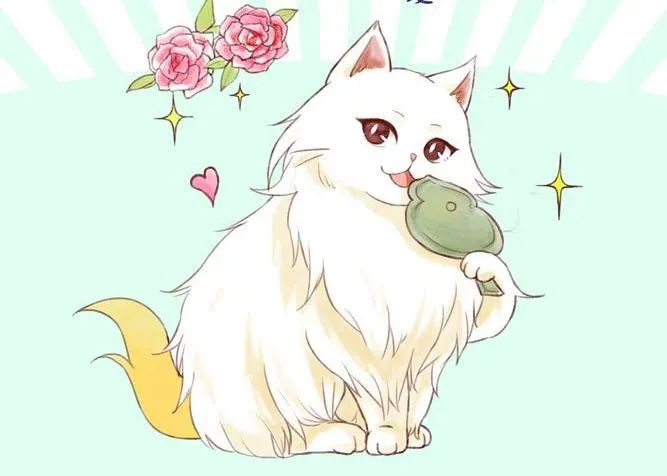 怎么养刚生出来的小猫咪,猫咪怎么养才算是咬人