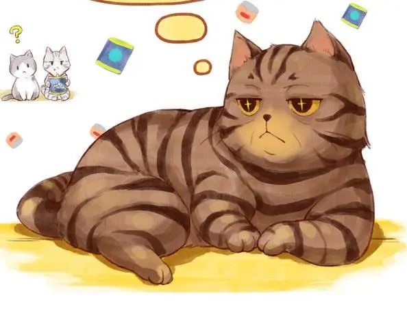 怎么养刚生出来的小猫咪,猫咪怎么养才算是咬人