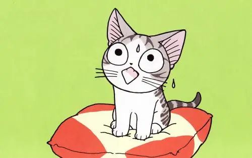 怎么养刚生出来的小猫咪,猫咪怎么养才算是咬人