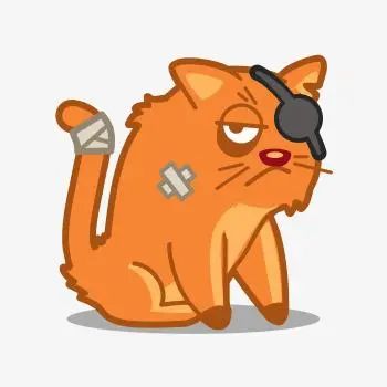 怎么养刚生出来的小猫咪,猫咪怎么养才算是咬人