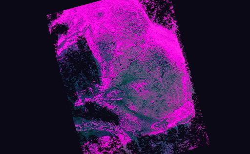 DAOSquare加密情报:DeFi呼唤女性