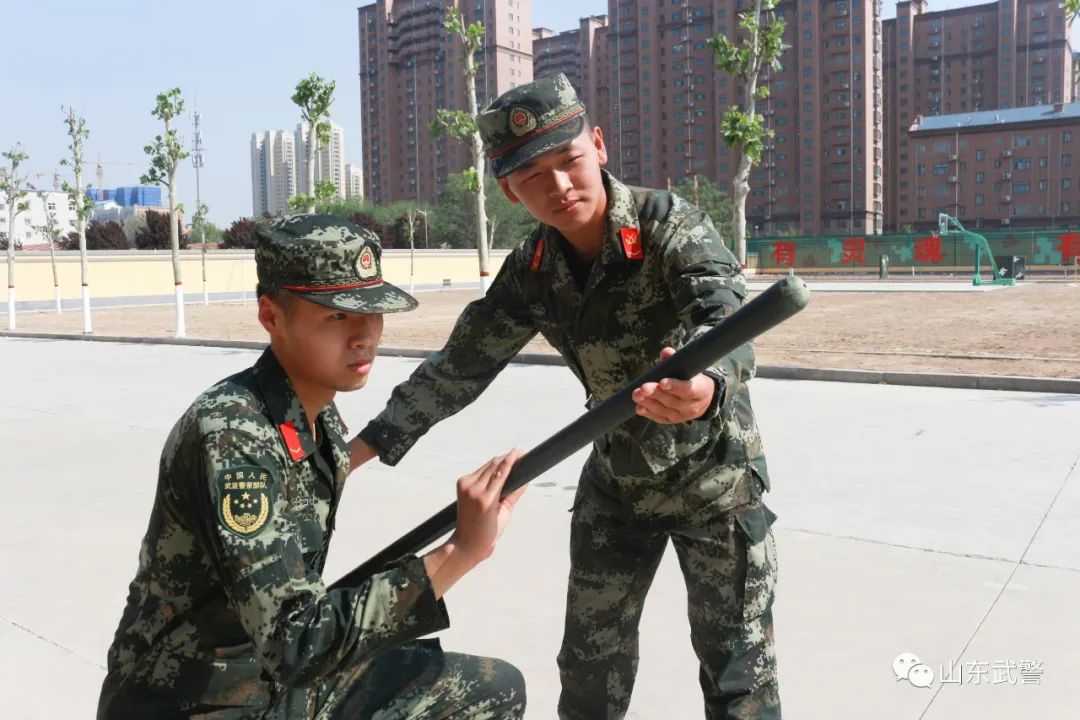 青年者国之魂也的作文,青年者国之魂也谁说的