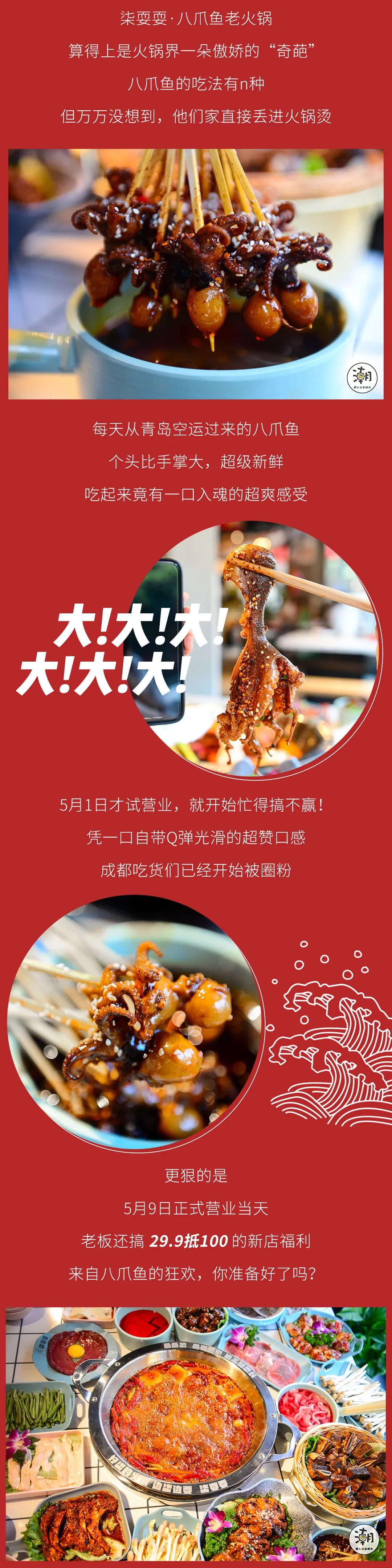 怎么处理八爪鱼,遇到八爪鱼怎么拔牙齿