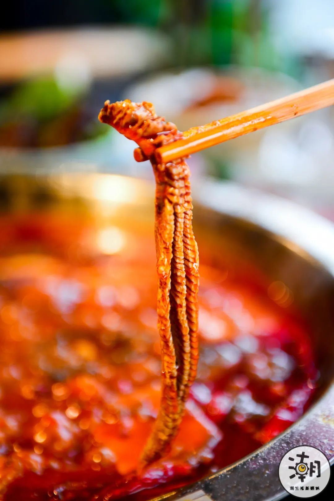 怎么处理八爪鱼,遇到八爪鱼怎么拔牙齿