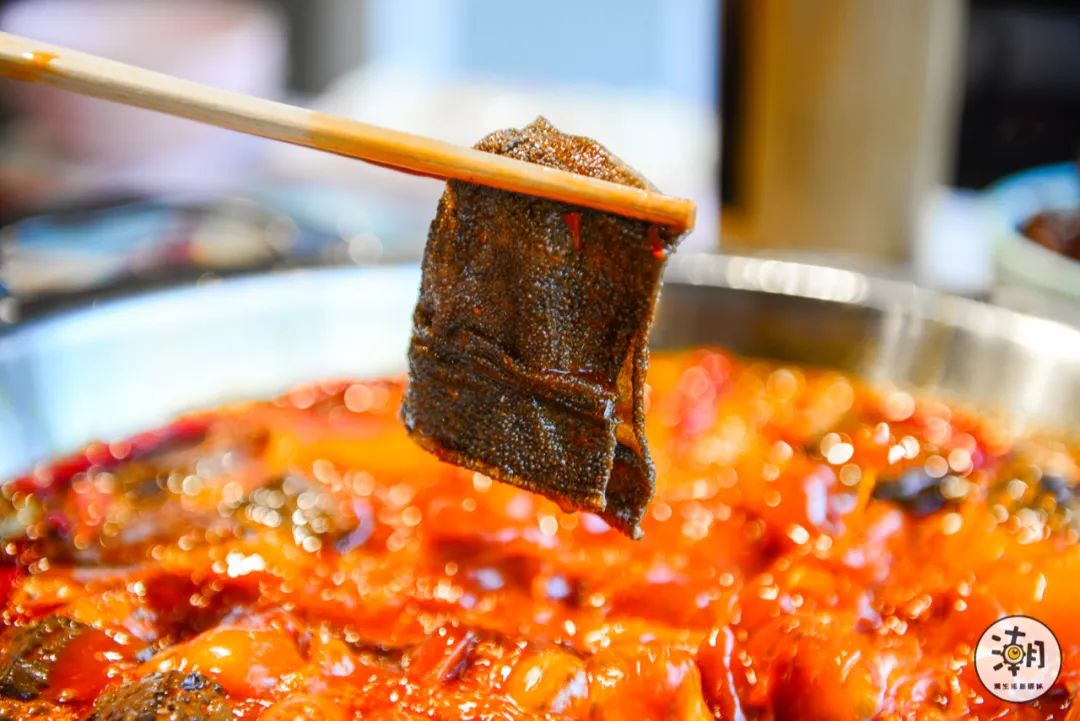 怎么处理八爪鱼,遇到八爪鱼怎么拔牙齿