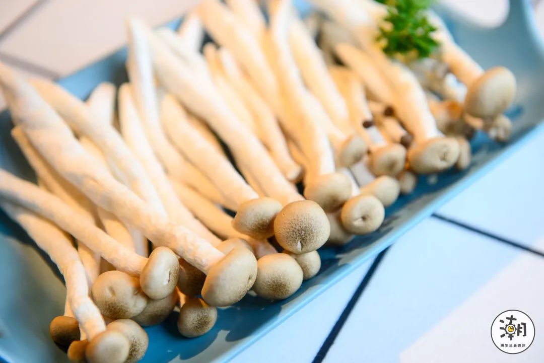 怎么处理八爪鱼,遇到八爪鱼怎么拔牙齿