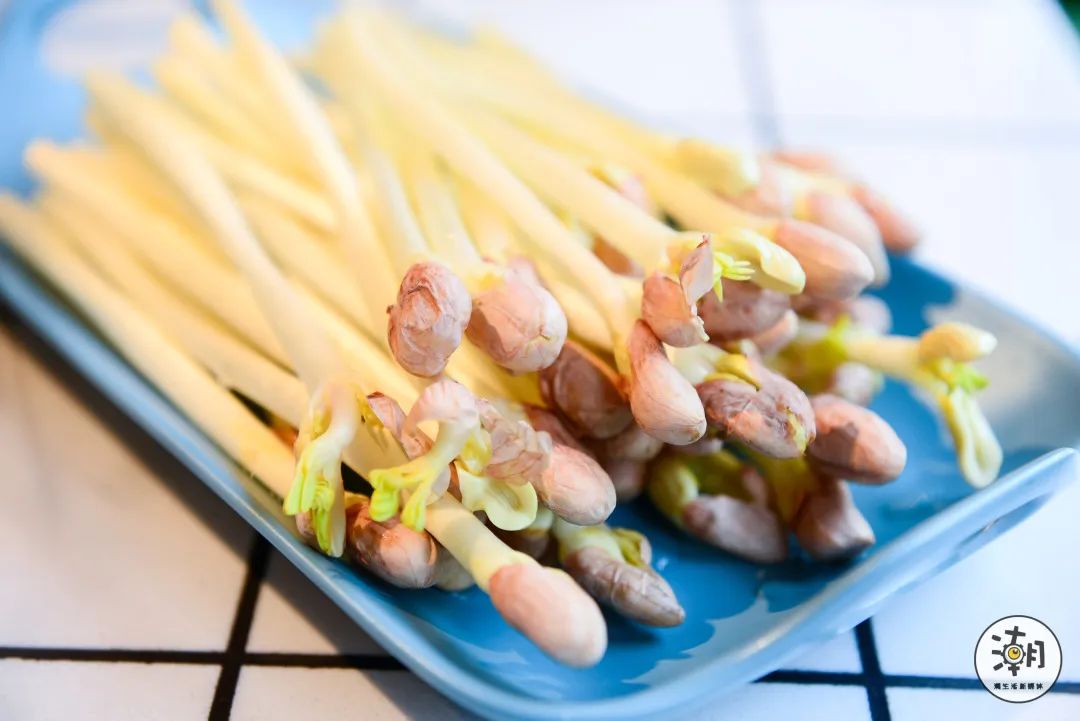 怎么处理八爪鱼,遇到八爪鱼怎么拔牙齿