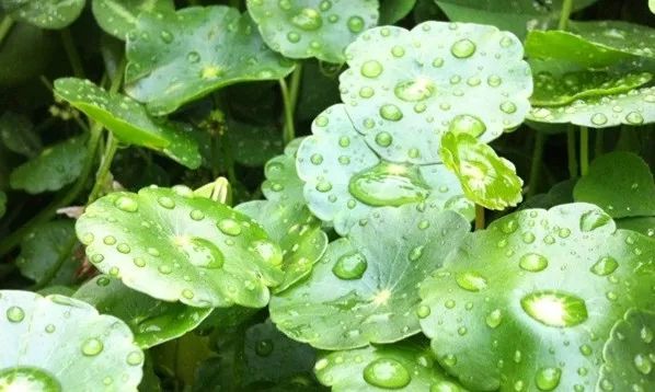 干皮痘肌护肤全过程,干皮痘肌精简护肤步骤