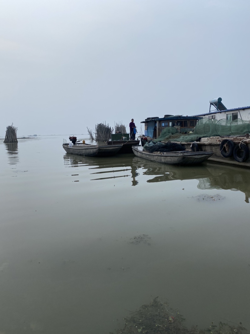 骆马湖秋季鲫鱼,骆马湖最大鲫鱼