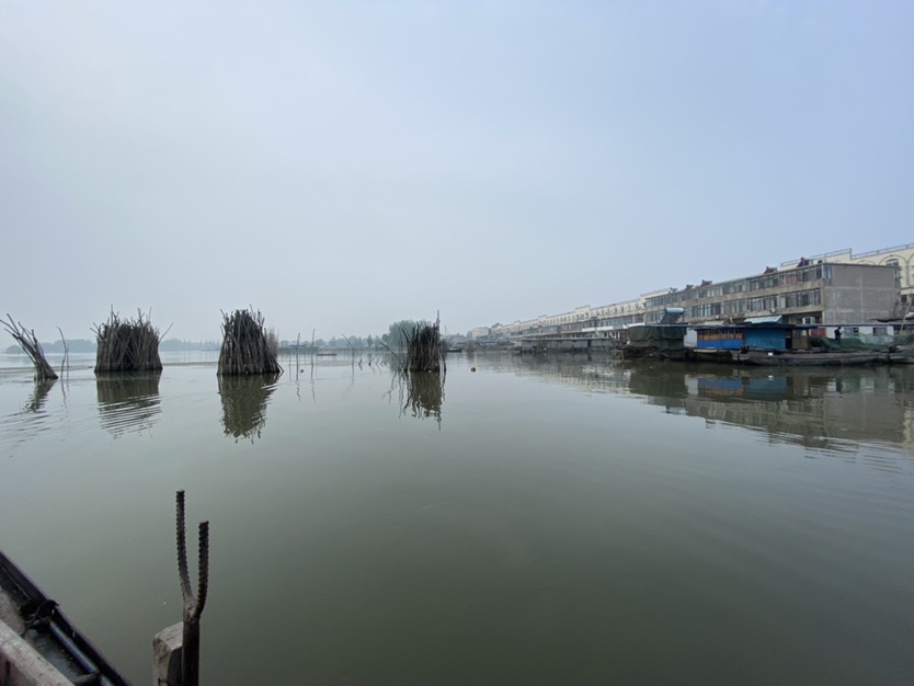 骆马湖秋季鲫鱼,骆马湖最大鲫鱼