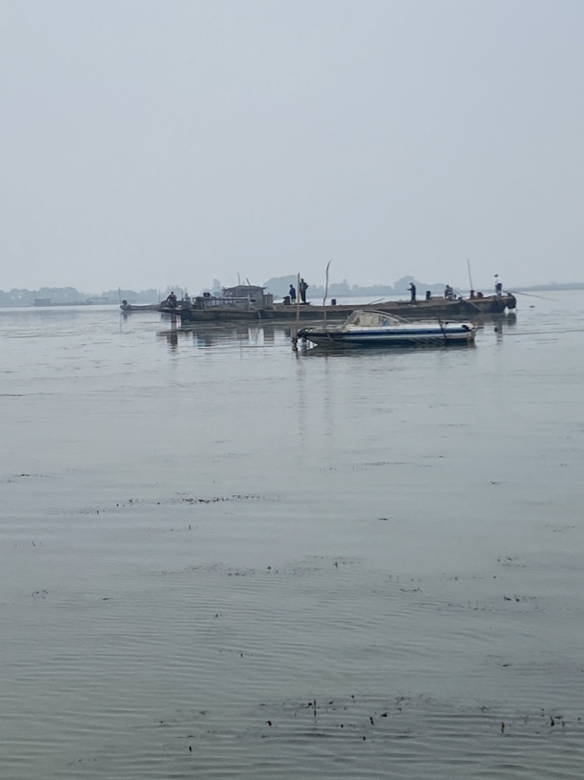 骆马湖秋季鲫鱼,骆马湖最大鲫鱼