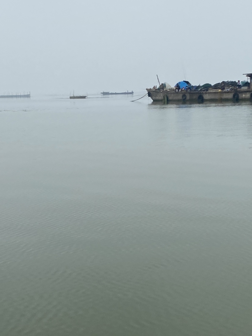 骆马湖秋季鲫鱼,骆马湖最大鲫鱼