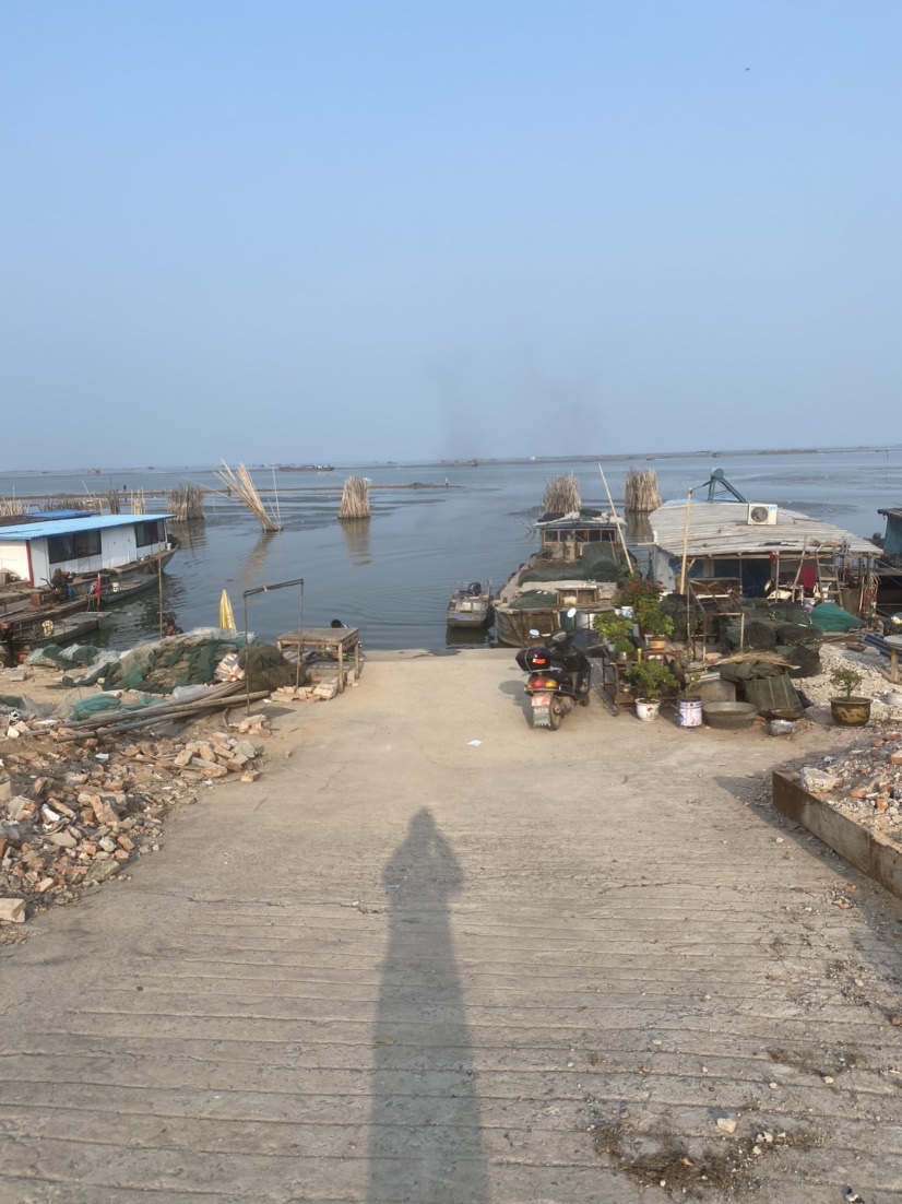 骆马湖秋季鲫鱼,骆马湖最大鲫鱼