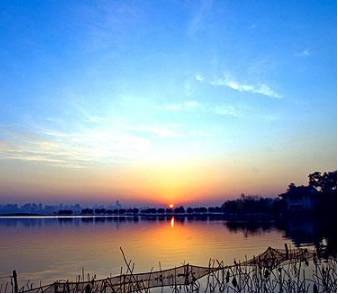 狼的五十句格言!,太经典了)