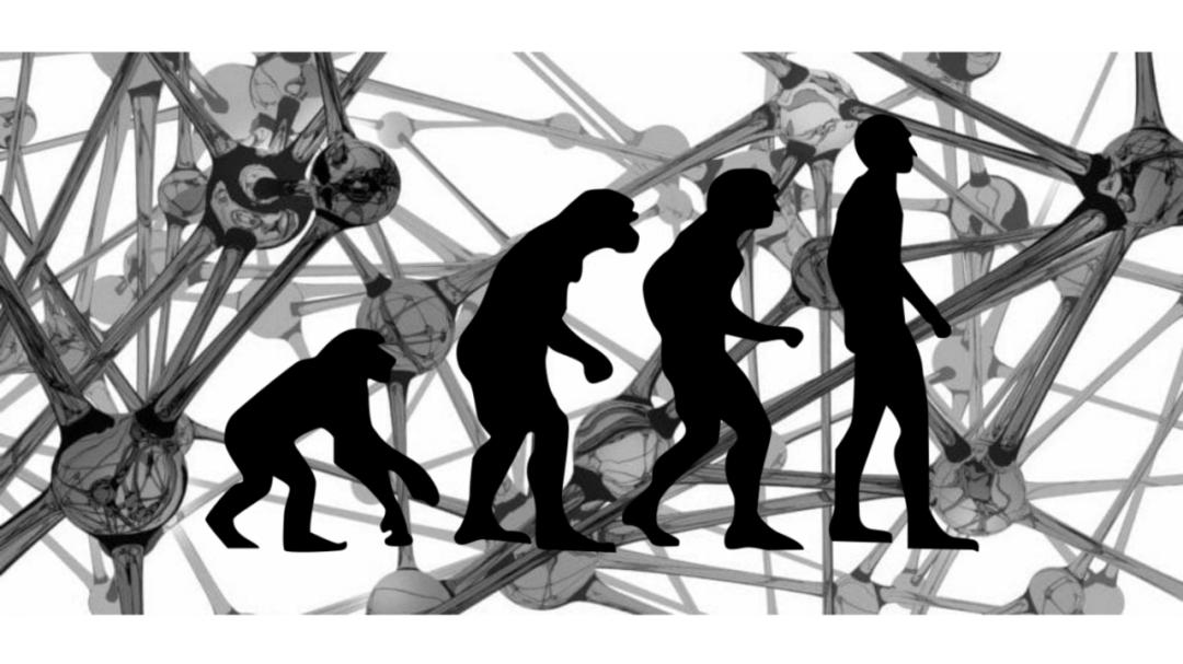 谷歌deepmind大模型攻破数学难题,谷歌deepmind机器人成果三连发