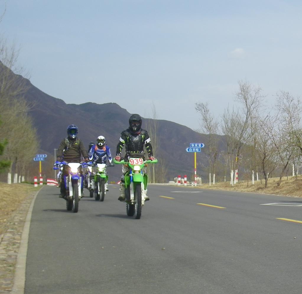 做好领头羊的句子,做好自己的领头羊