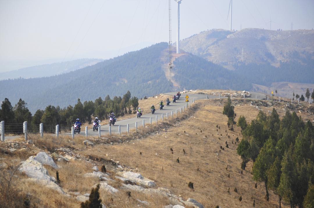 做好领头羊的句子,做好自己的领头羊