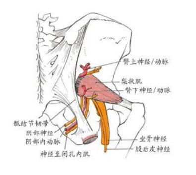 小针刀治疗骨性膝关节炎效果如何,刃针治疗膝关节骨性关节炎