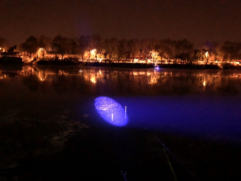 漫天遍野风飘絮，上庄夜钓耍银鲫